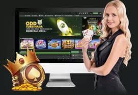 okthai88